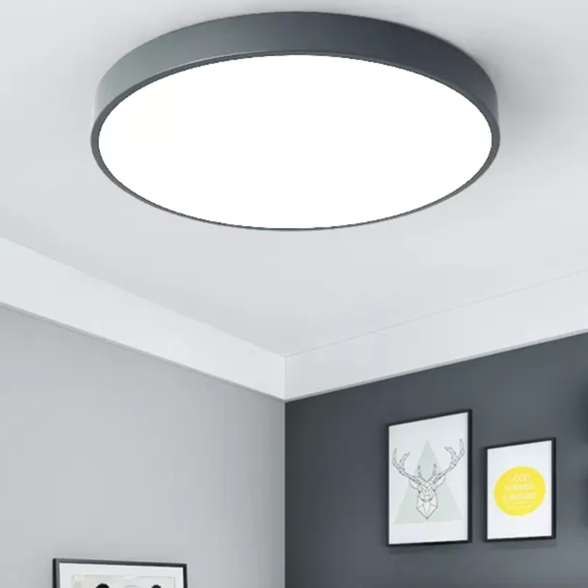 collection-banner-image