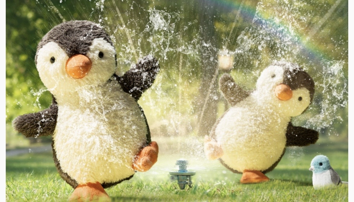 collection-banner-image