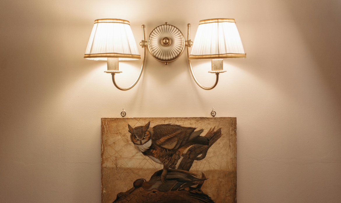 collection-banner-image