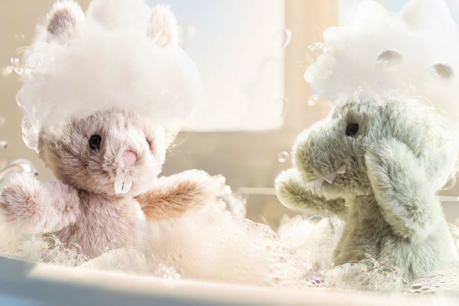 collection-banner-image
