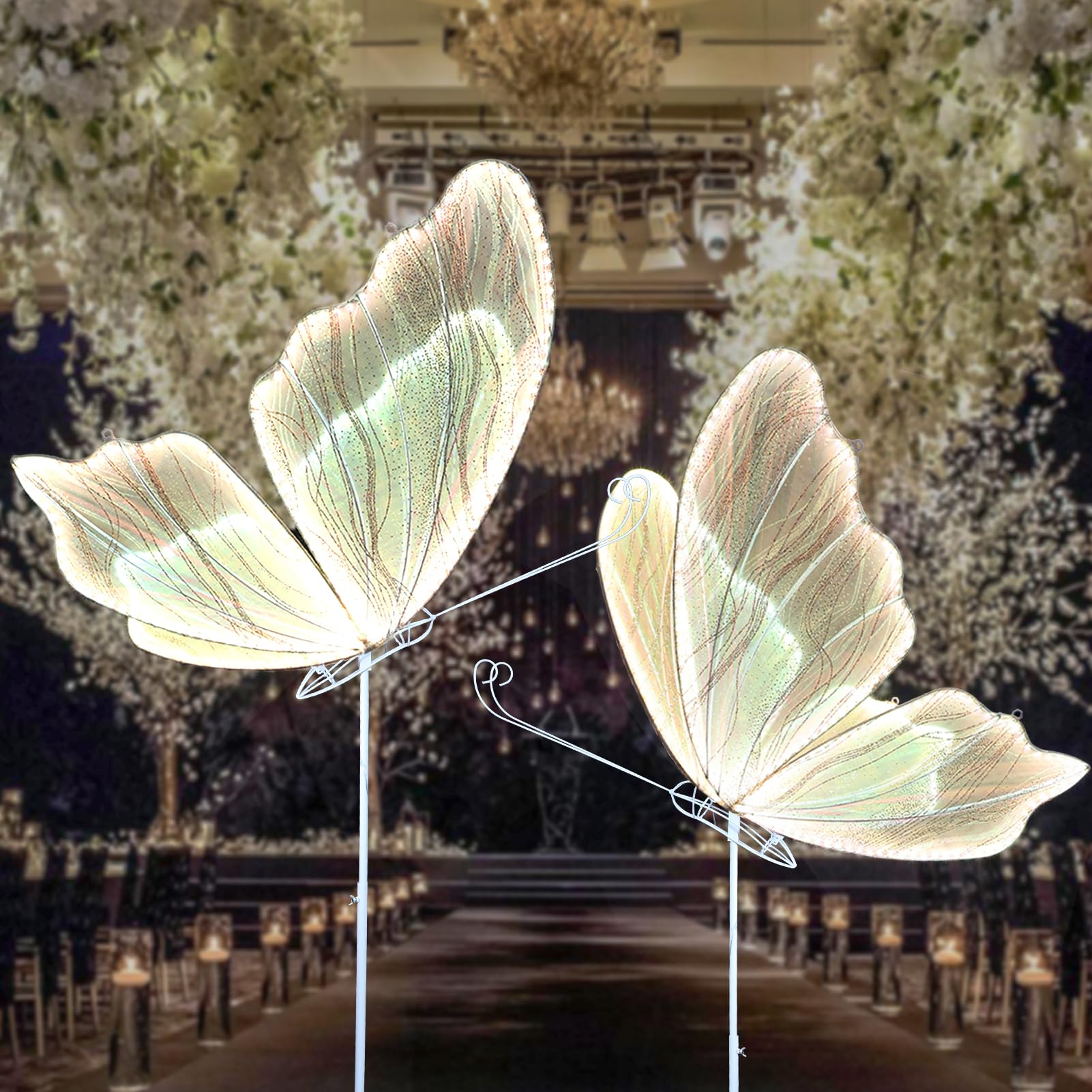 collection-banner-image