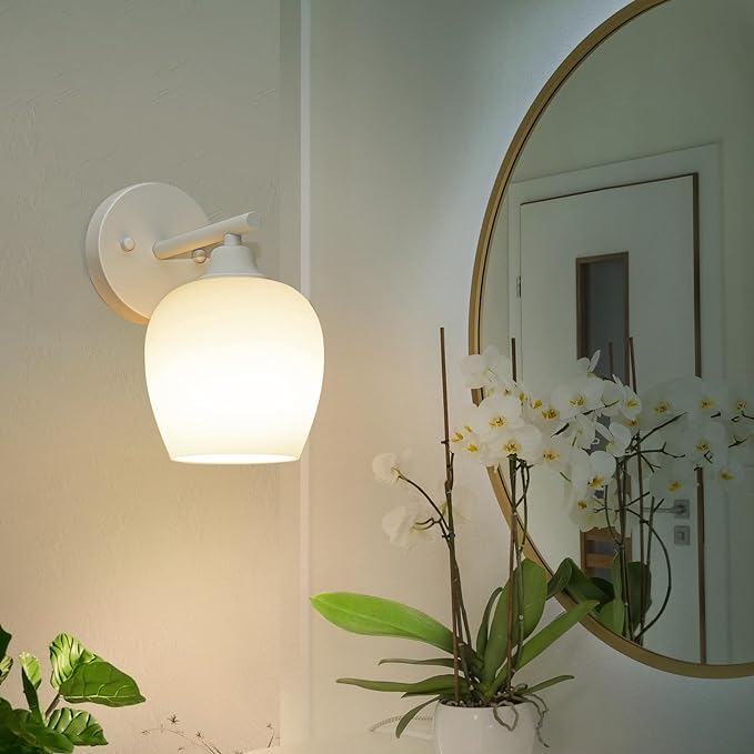 collection-banner-image